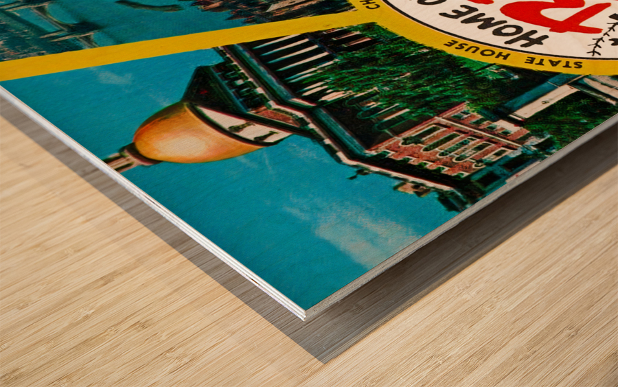 Charles River Fenway Park Red Sox Art Wood print