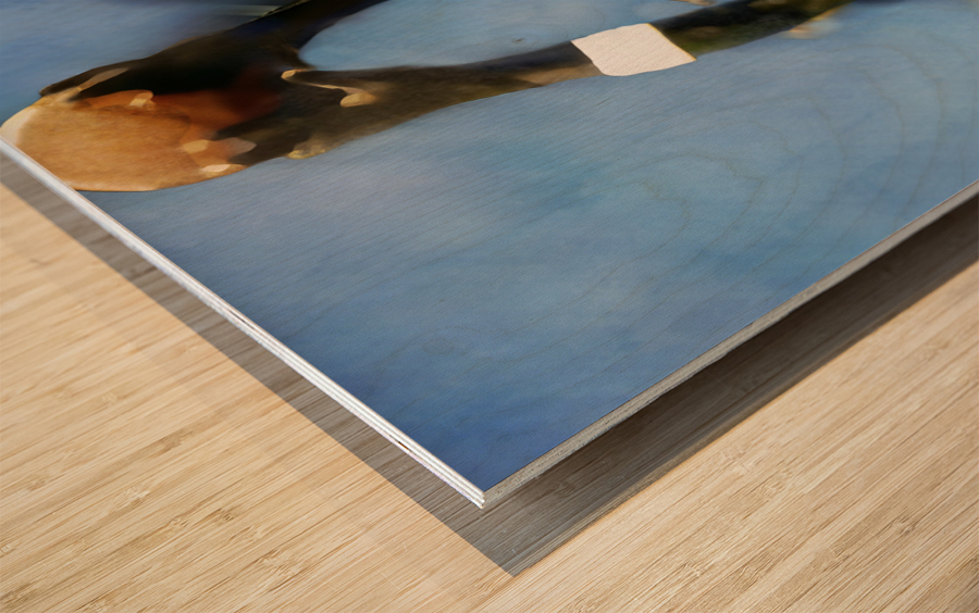 Michael Jordan Two Handed Dunk  Wood print