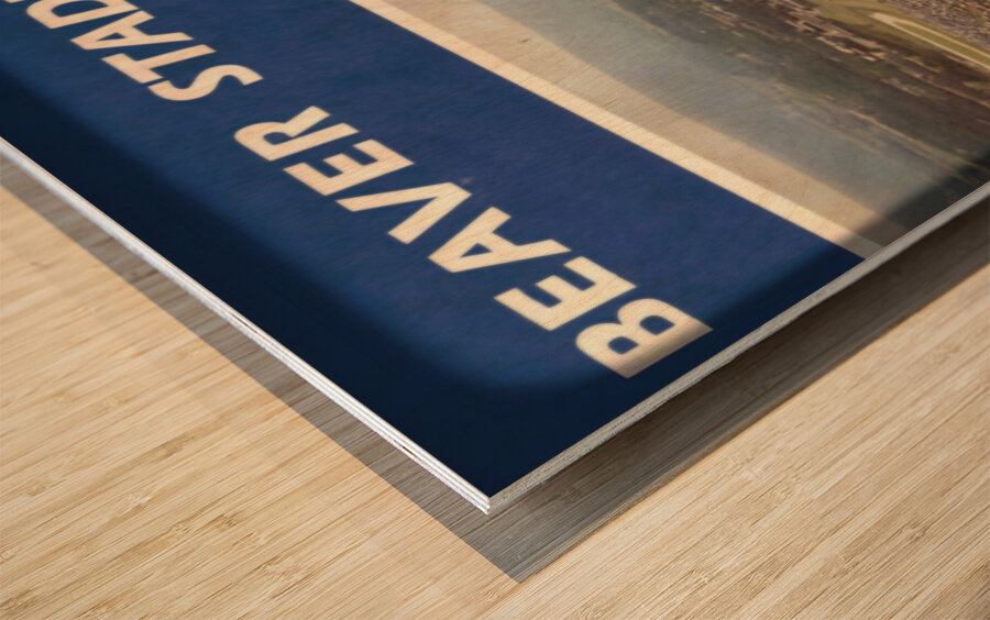 1984 Beaver Stadium Viewfinder Art Wood print