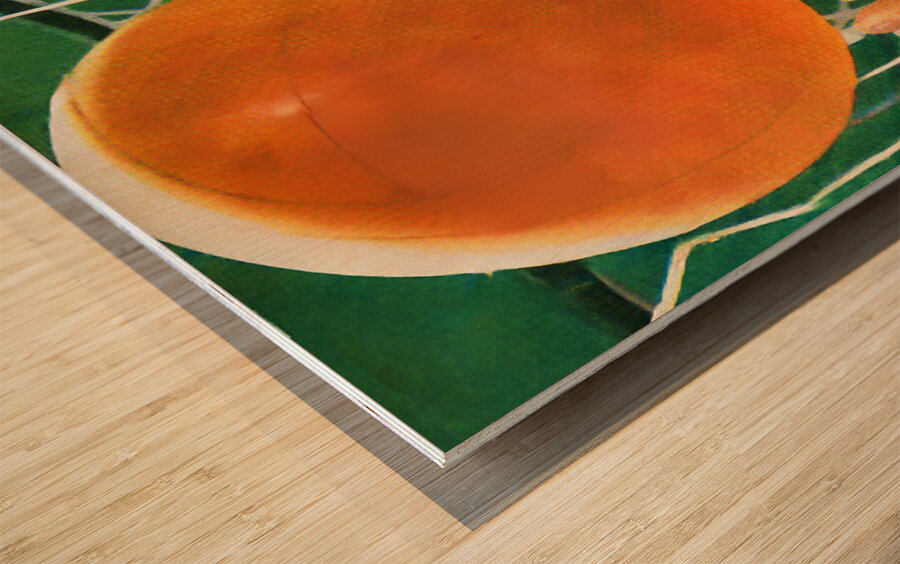 vintage sports art 1940s basketball art ball hoop Wood print