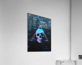 Skull on the wall Acrylic Print