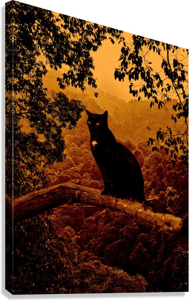 Spooky cat in tree Canvas Print