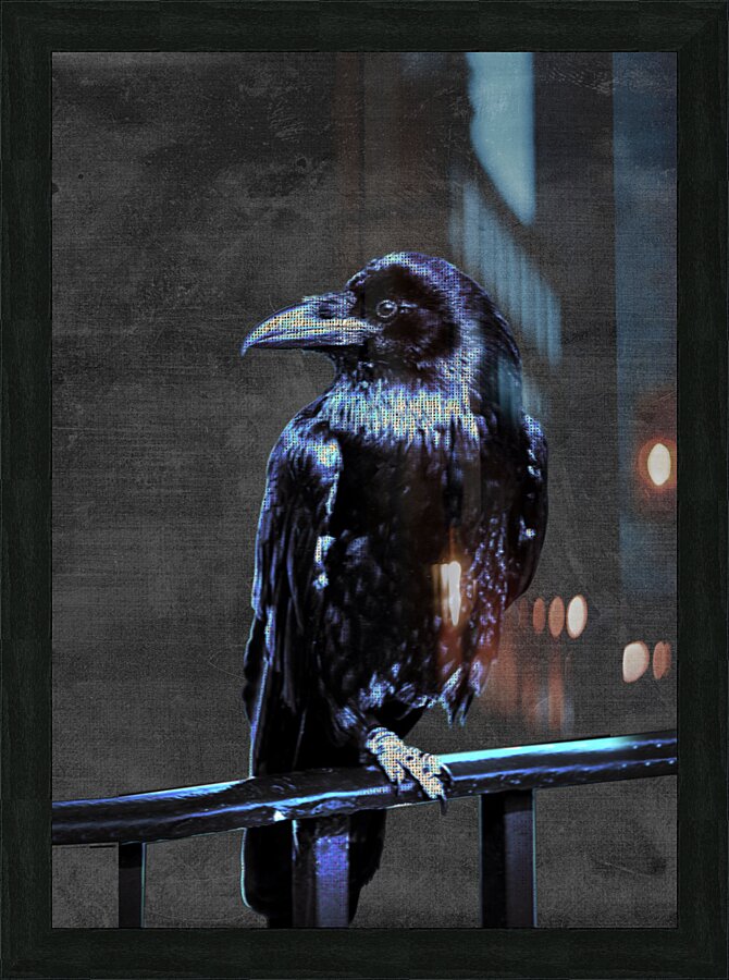 Blue Crow Picture Frame print