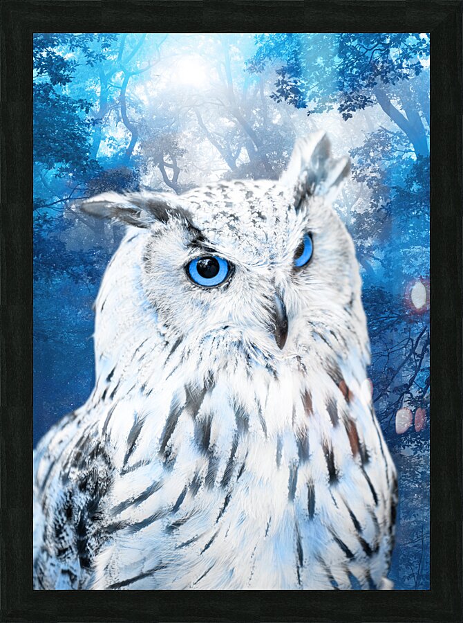 Frost Owl Picture Frame print