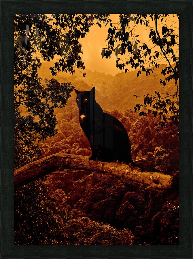Spooky cat in tree Picture Frame print