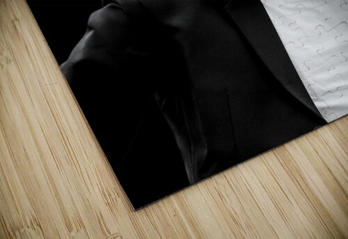 lion suit Kiyo Arts puzzle