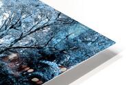 Frozen Forest HD Metal print