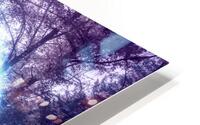 Lost forest Magic portal HD Metal print