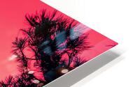 Red Forest HD Metal print
