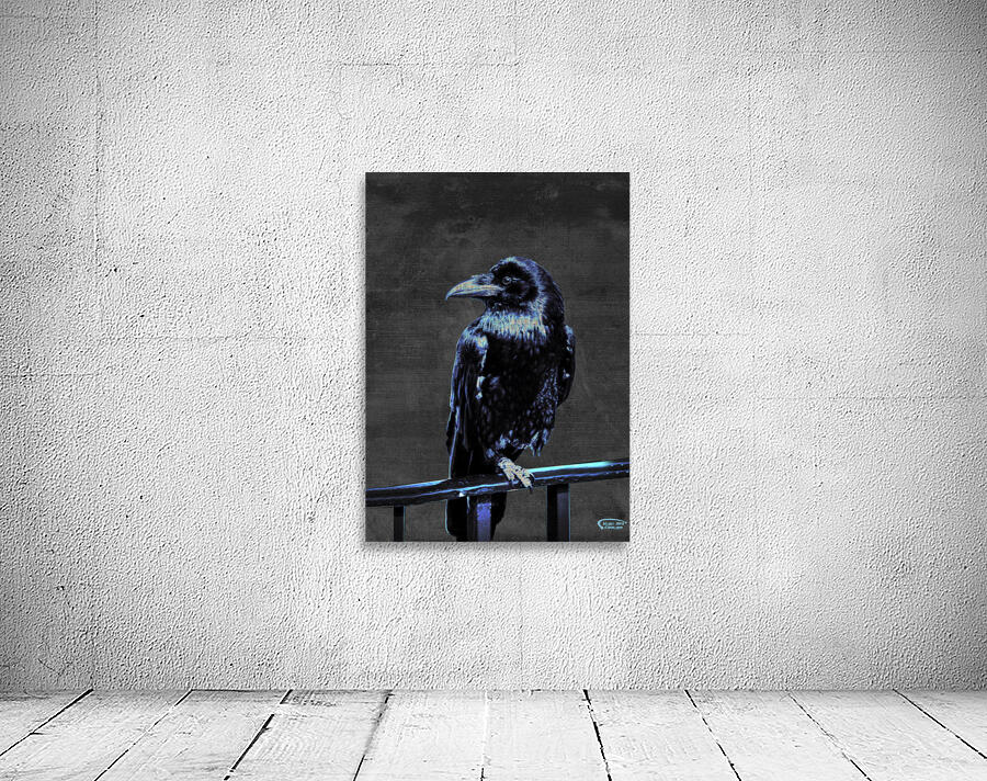 Blue Crow Wall Preview