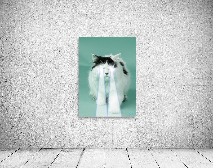 Lazer Beam Cat Wall Preview