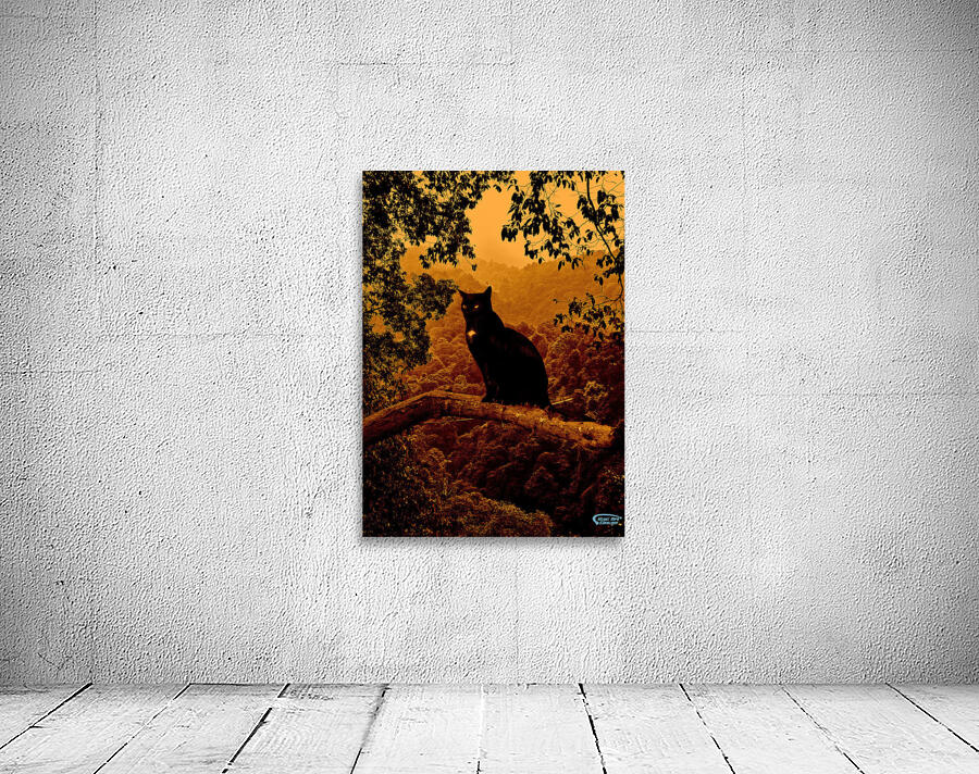 Spooky cat in tree Wall Preview