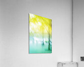 Park Daydream Acrylic Print