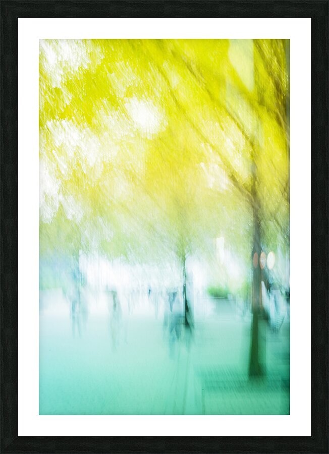 Park Daydream Picture Frame print