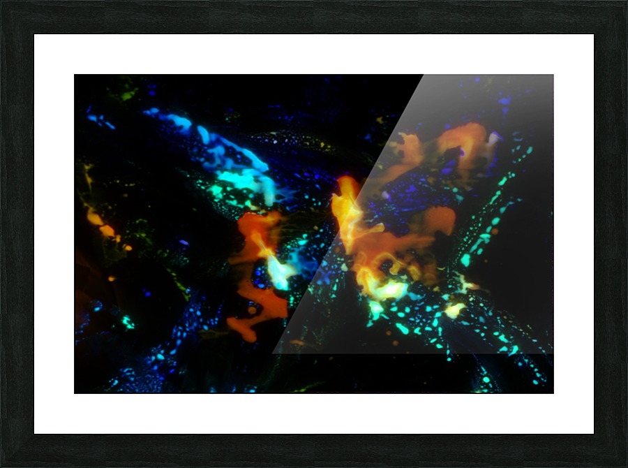 Butterfly Picture Frame print