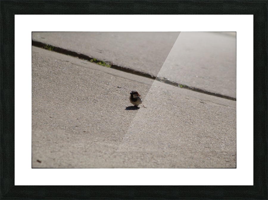 Holding On Picture Frame print