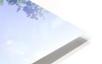 Serene HD Metal print