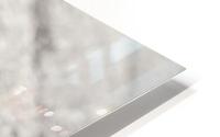 Baked Crumble HD Metal print