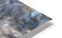 Rapids HD Metal print