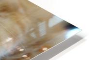 Does this Bother You HD Metal print