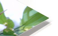 Flower Power HD Metal print