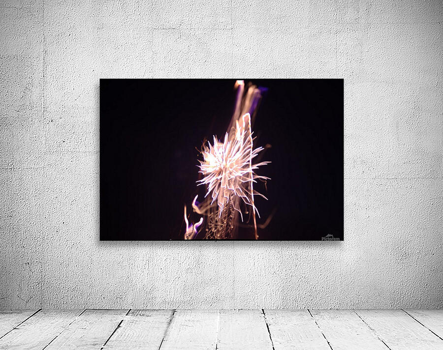 Dandelion Wall Preview