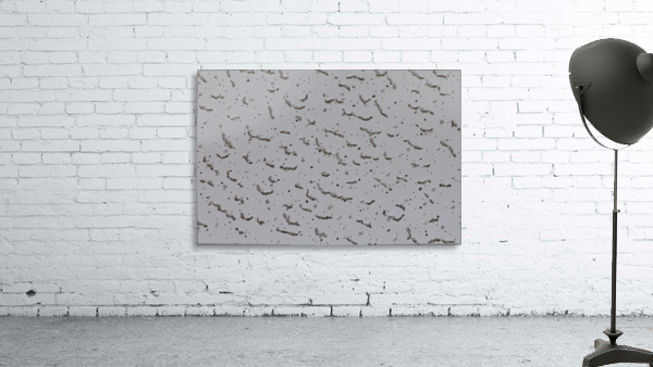 Punctured Wall Preview