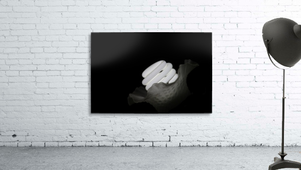 Lit Flower Wall Preview