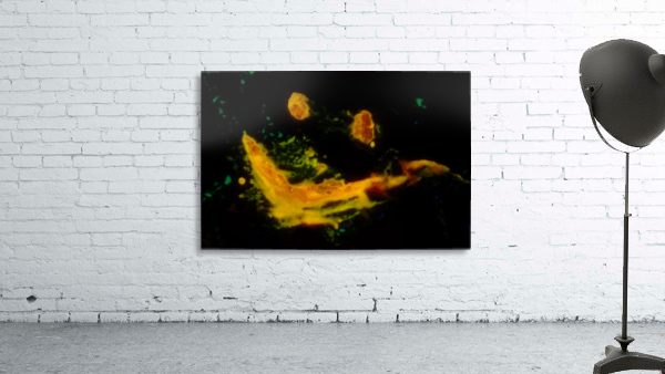 Happy Wall Preview
