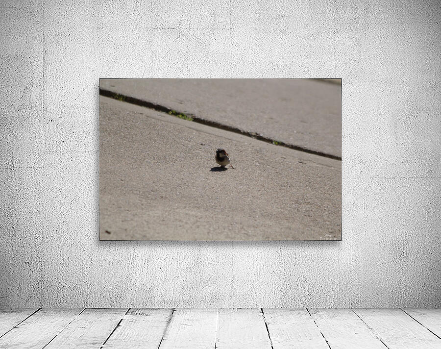 Holding On Wall Preview