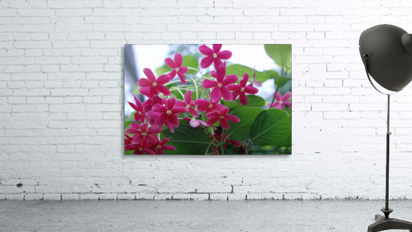 Flower Power Wall Preview