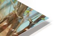 IMG 9561 HD Metal print