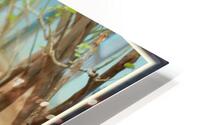aytu33 HD Metal print