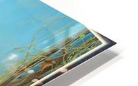 aytu HD Metal print