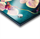 Colorful Orchids Acrylic print