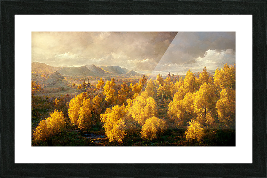 Golden Aspens Picture Frame print