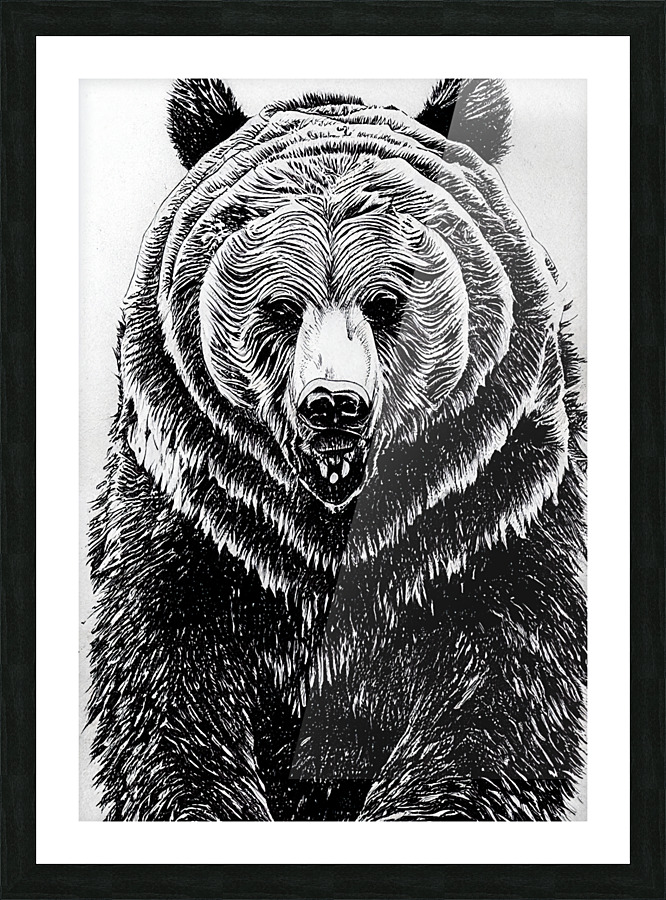 Grizzly Bear Drawing Picture Frame print