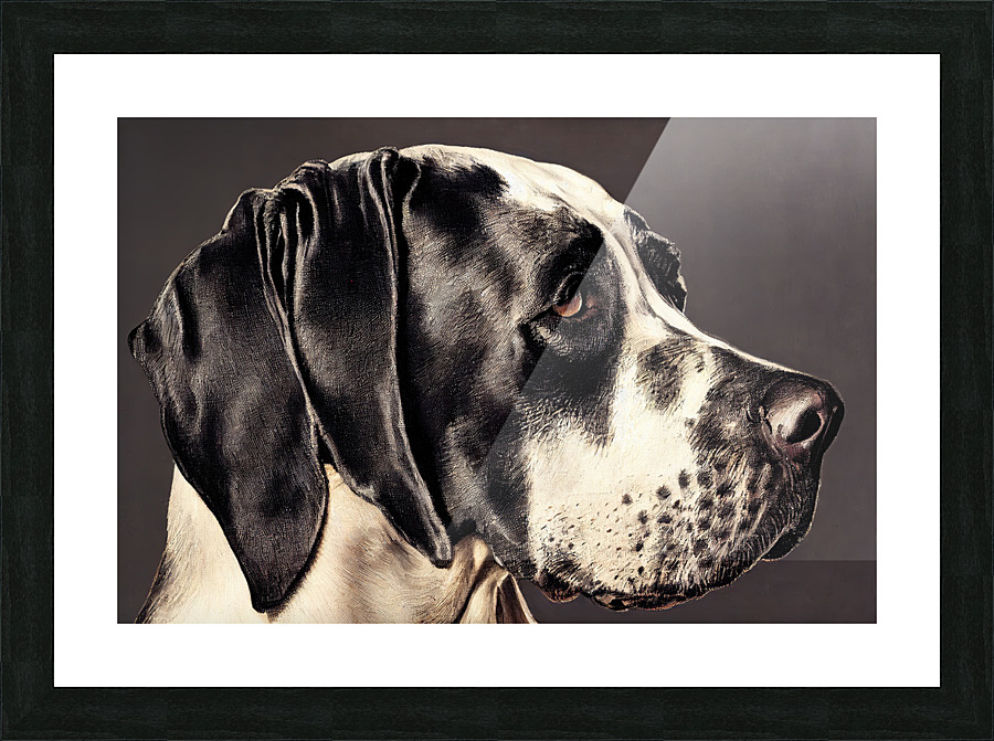 Great Dane Picture Frame print