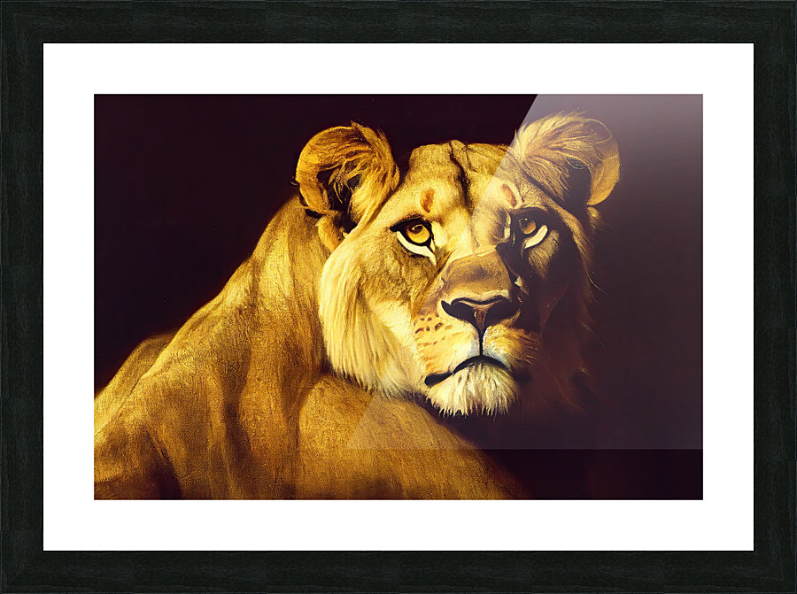 Lioness Picture Frame print