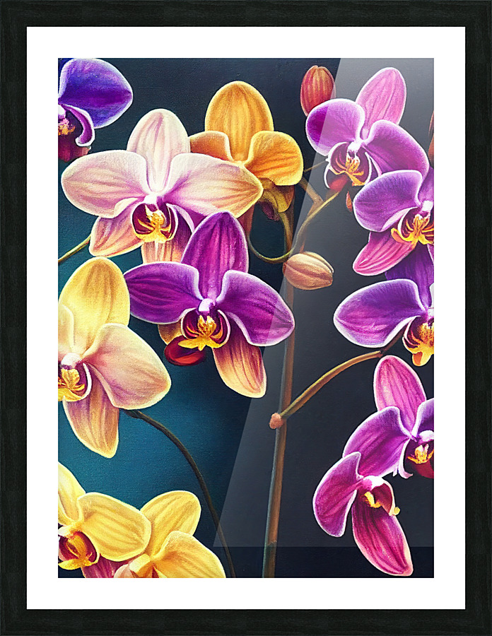 Colorful Orchids Picture Frame print