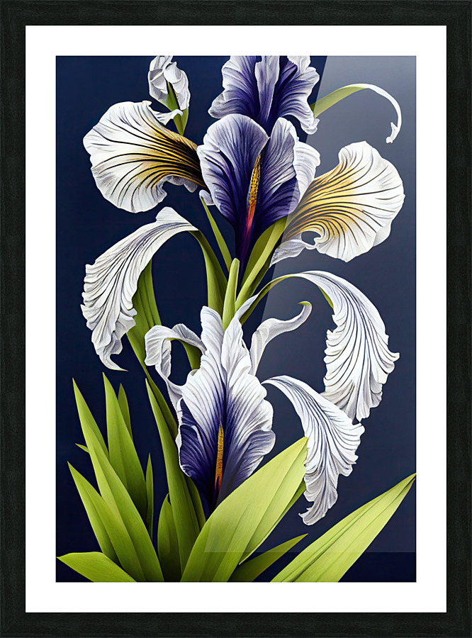Iris Pseudacorus Picture Frame print