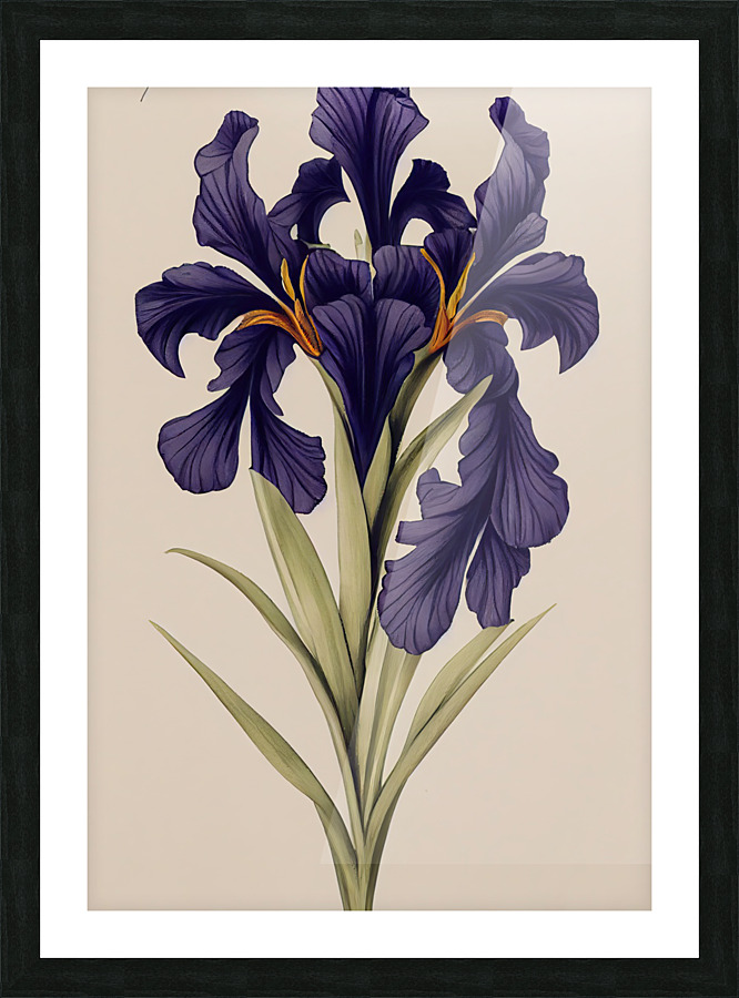 Iris Pseudacorus Picture Frame print