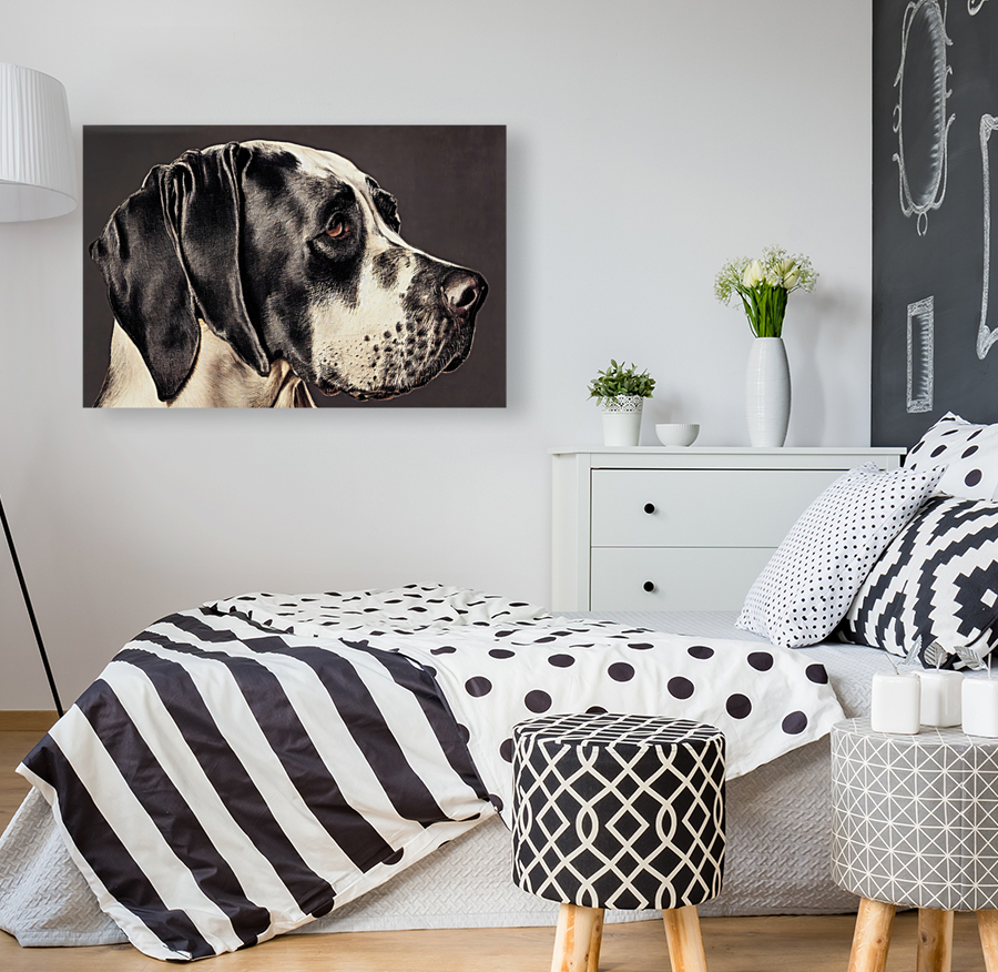 Great Dane Reproduction