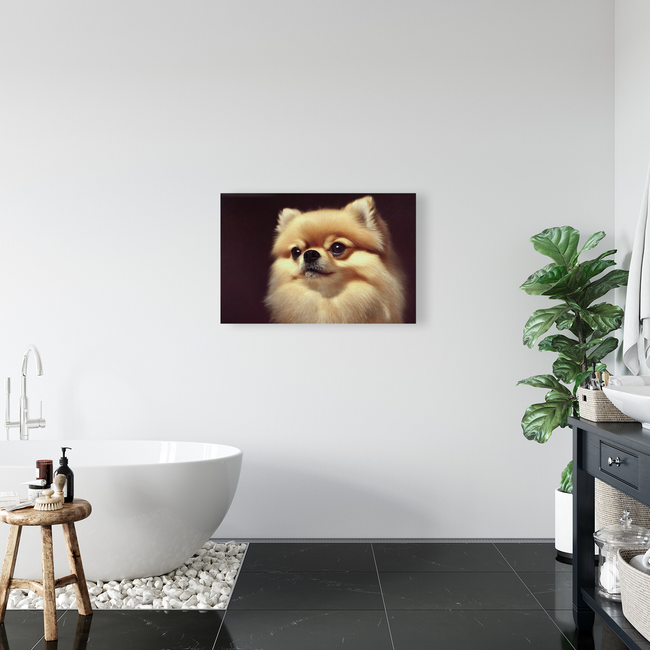 Pomeranian Reproduction