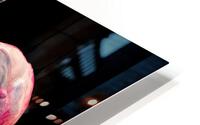 Love Potion AI HD Metal print