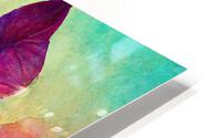 Colorful Orchids HD Metal print