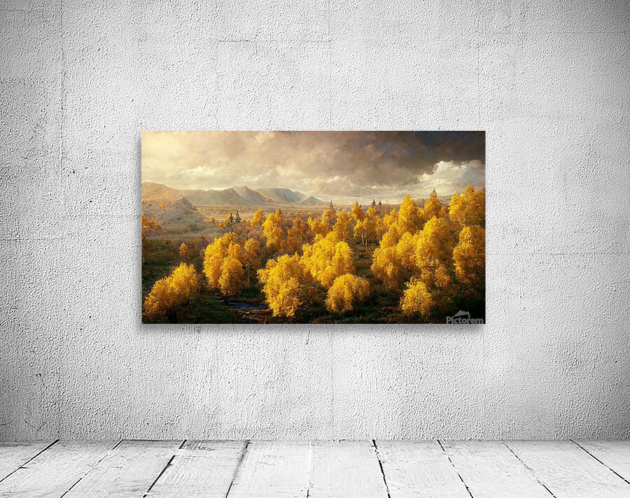 Golden Aspens Wall Preview