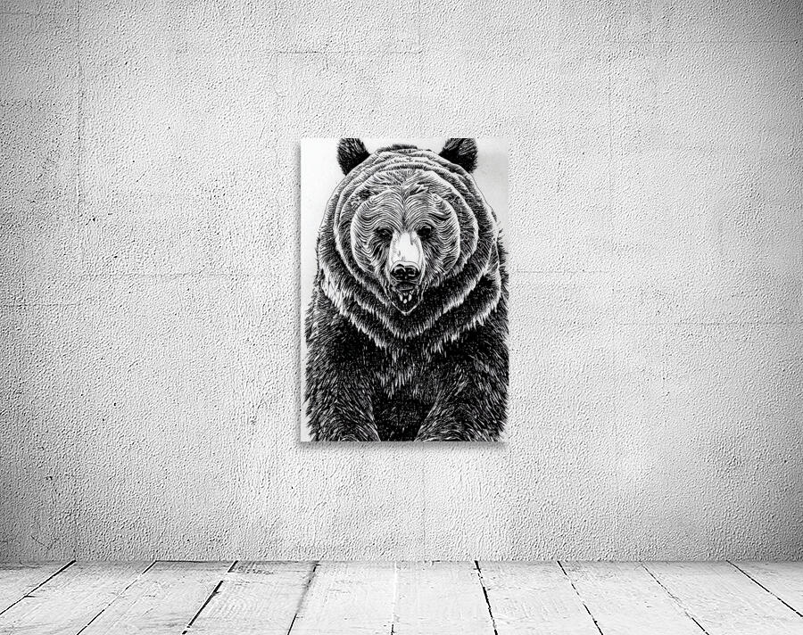 Grizzly Bear Drawing Wall Preview