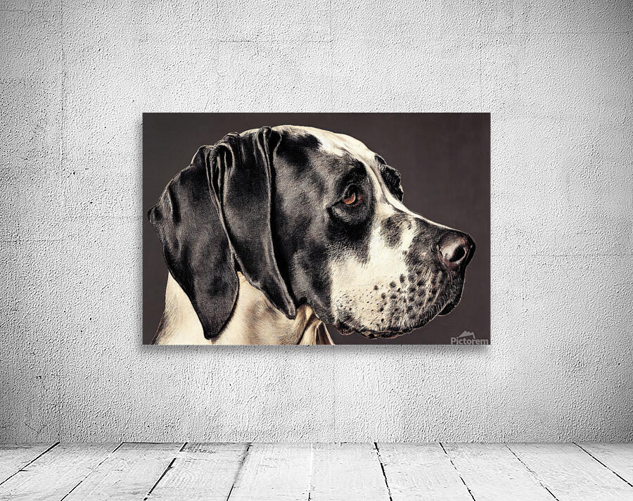 Great Dane Wall Preview