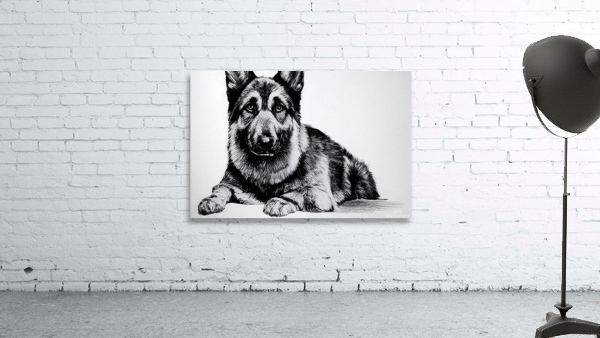 German Shepard Wall Preview